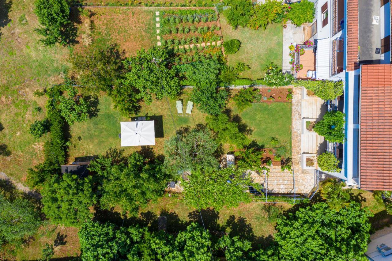 Apartments And Rooms Mofardin Rovinj Exterior foto